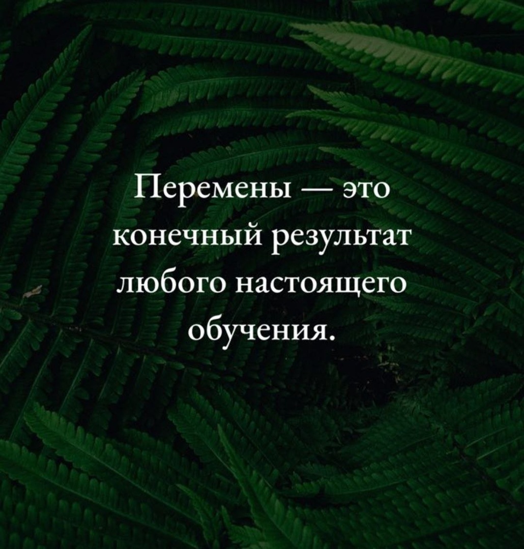 Предприниматель должен быть всегда сфокусирован на своем бизнесе